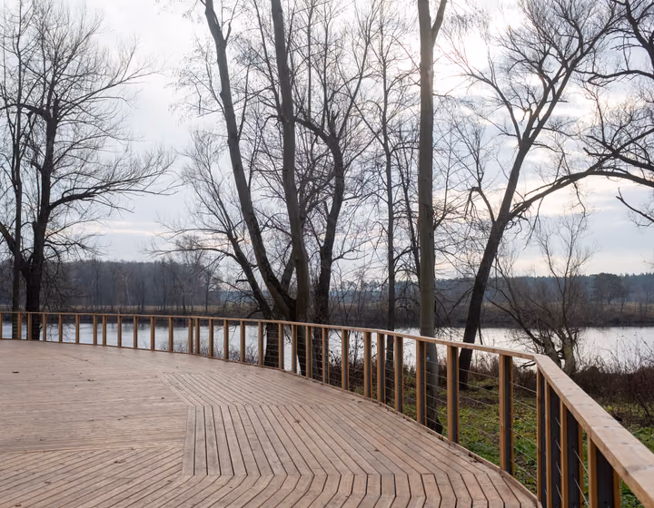 A curved timber boardwalk deck overlooking the water